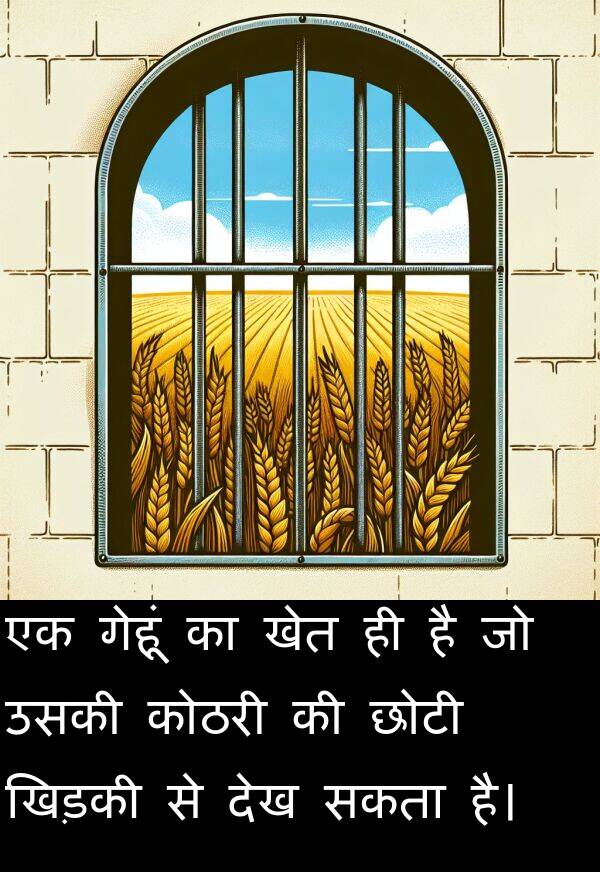 खेत: एक गेहूं का खेत ही है जो उसकी कोठरी की छोटी खिड़की से देख सकता है।