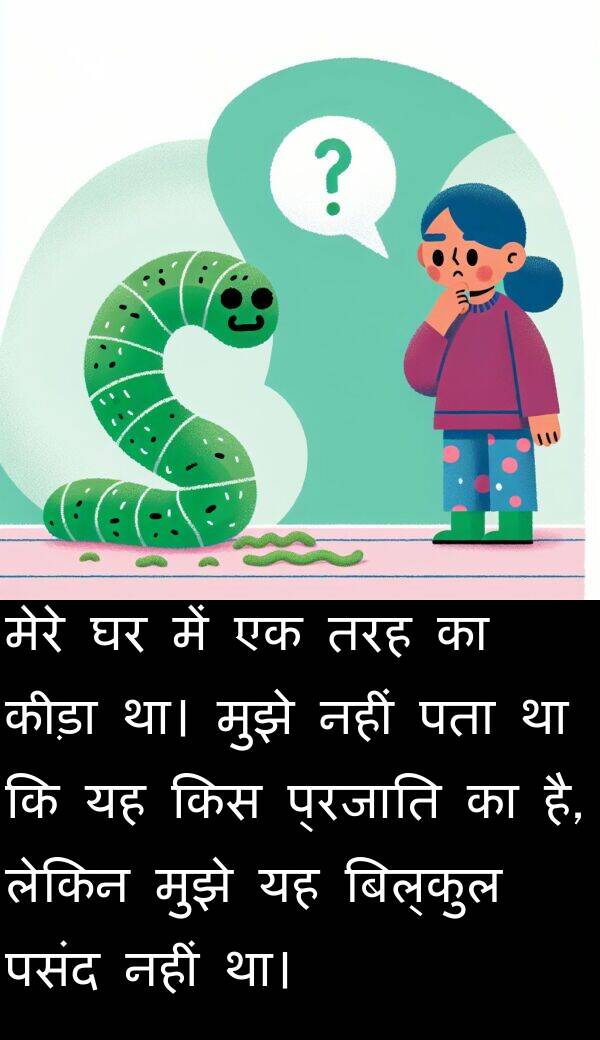 प्रजाति: मेरे घर में एक तरह का कीड़ा था। मुझे नहीं पता था कि यह किस प्रजाति का है, लेकिन मुझे यह बिल्कुल पसंद नहीं था।