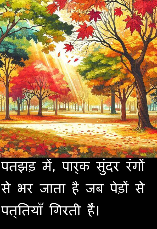पतझड़: पतझड़ में, पार्क सुंदर रंगों से भर जाता है जब पेड़ों से पत्तियाँ गिरती हैं।