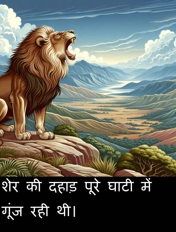 घाटी: शेर की दहाड़ पूरे घाटी में गूंज रही थी।