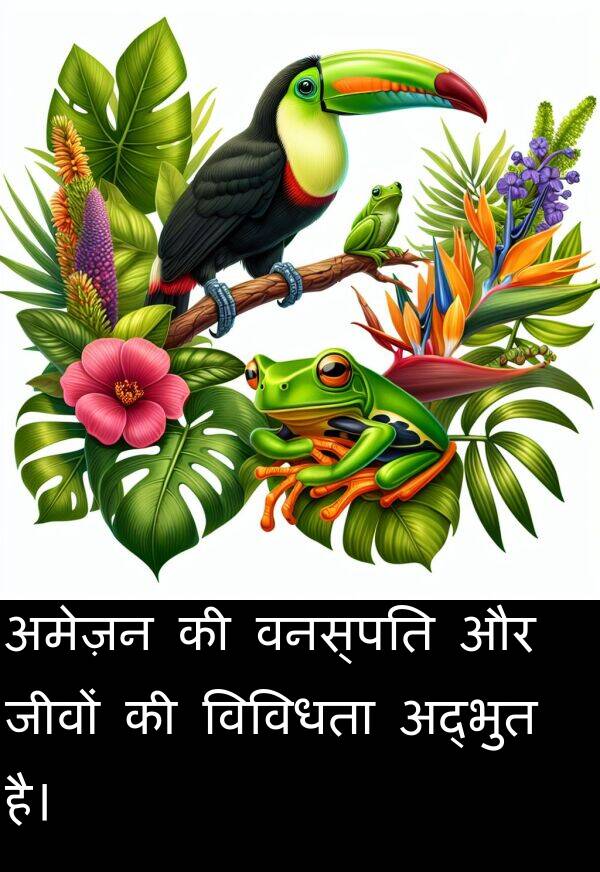 विविधता: अमेज़न की वनस्पति और जीवों की विविधता अद्भुत है।