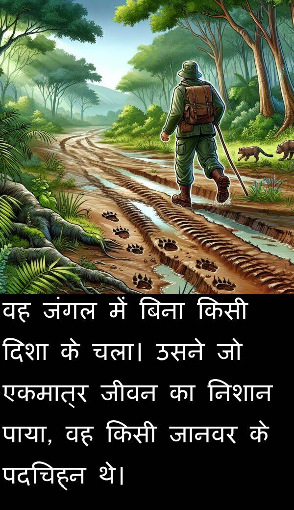पदचिह्न: वह जंगल में बिना किसी दिशा के चला। उसने जो एकमात्र जीवन का निशान पाया, वह किसी जानवर के पदचिह्न थे।