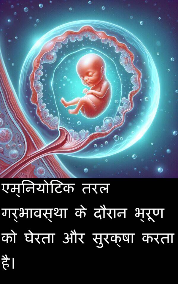 गर्भावस्था: एम्नियोटिक तरल गर्भावस्था के दौरान भ्रूण को घेरता और सुरक्षा करता है।