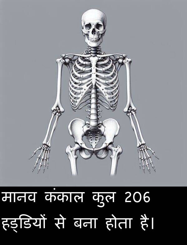 हड्डियों: मानव कंकाल कुल 206 हड्डियों से बना होता है।