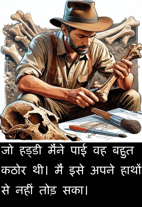 पाई: जो हड्डी मैंने पाई वह बहुत कठोर थी। मैं इसे अपने हाथों से नहीं तोड़ सका।