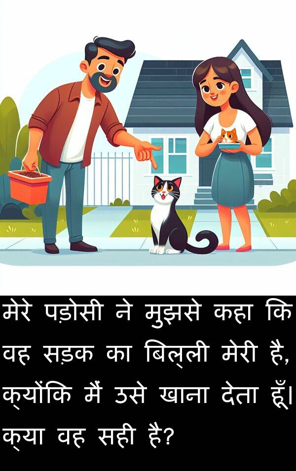 पड़ोसी: मेरे पड़ोसी ने मुझसे कहा कि वह सड़क का बिल्ली मेरी है, क्योंकि मैं उसे खाना देता हूँ। क्या वह सही है?