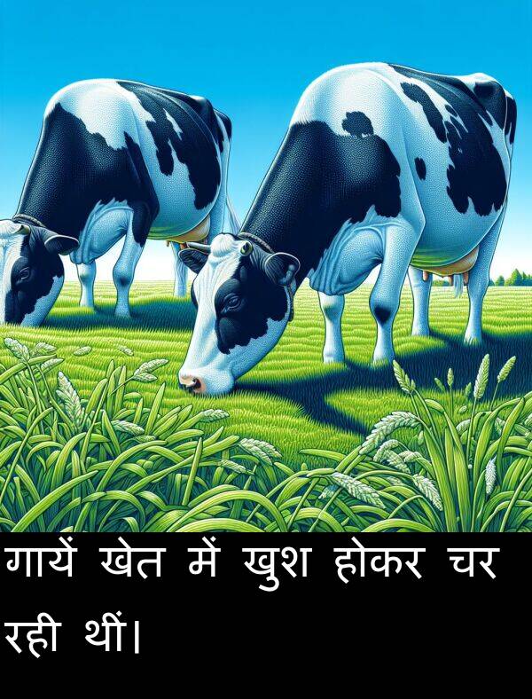 खेत: गायें खेत में खुश होकर चर रही थीं।