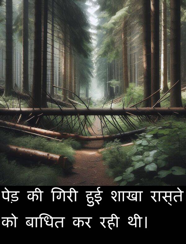 बाधित: पेड़ की गिरी हुई शाखा रास्ते को बाधित कर रही थी।