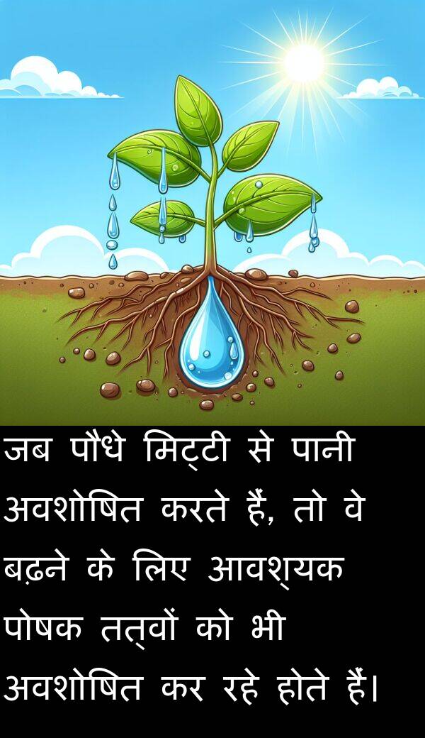 बढ़ने: जब पौधे मिट्टी से पानी अवशोषित करते हैं, तो वे बढ़ने के लिए आवश्यक पोषक तत्वों को भी अवशोषित कर रहे होते हैं।