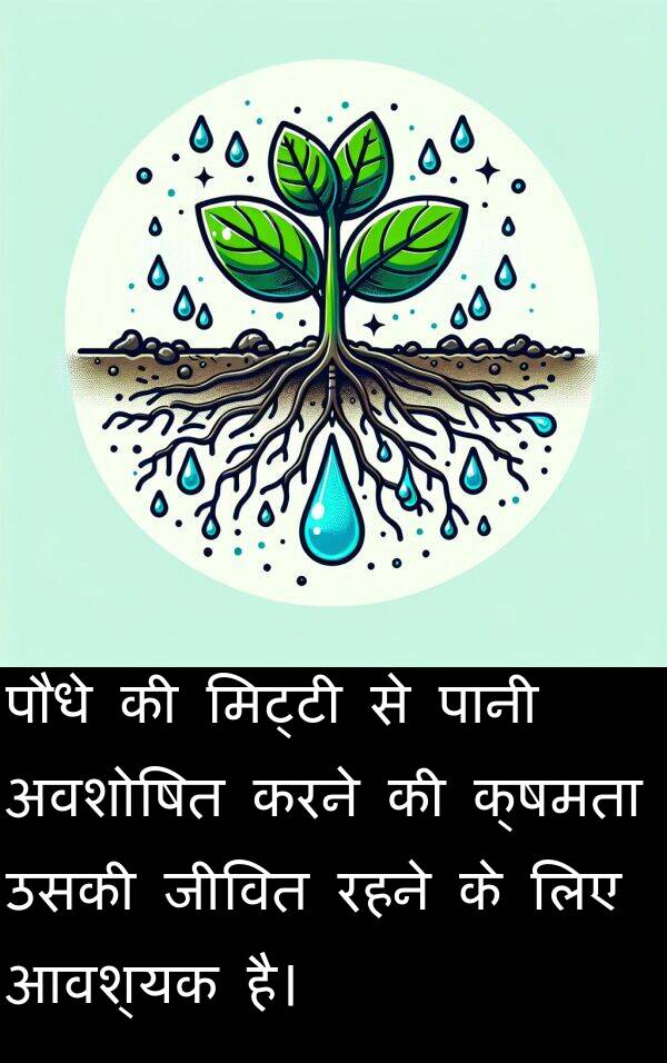 मिट्टी: पौधे की मिट्टी से पानी अवशोषित करने की क्षमता उसकी जीवित रहने के लिए आवश्यक है।
