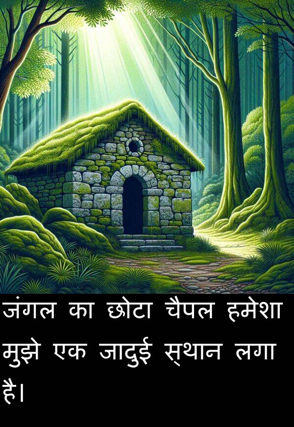 लगा: जंगल का छोटा चैपल हमेशा मुझे एक जादुई स्थान लगा है।