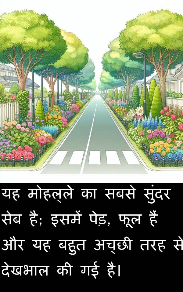 फूल: यह मोहल्ले का सबसे सुंदर सेब है; इसमें पेड़, फूल हैं और यह बहुत अच्छी तरह से देखभाल की गई है।