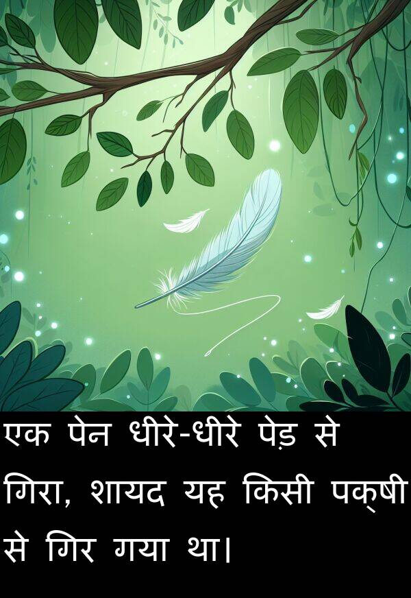 गिर: एक पेन धीरे-धीरे पेड़ से गिरा, शायद यह किसी पक्षी से गिर गया था।