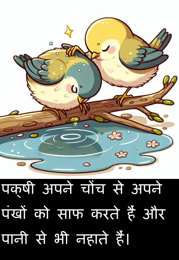 पंखों: पक्षी अपने चोंच से अपने पंखों को साफ करते हैं और पानी से भी नहाते हैं।