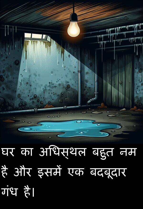 इसमें: घर का अधिस्थल बहुत नम है और इसमें एक बदबूदार गंध है।