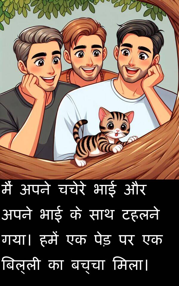 टहलने: मैं अपने चचेरे भाई और अपने भाई के साथ टहलने गया। हमें एक पेड़ पर एक बिल्ली का बच्चा मिला।