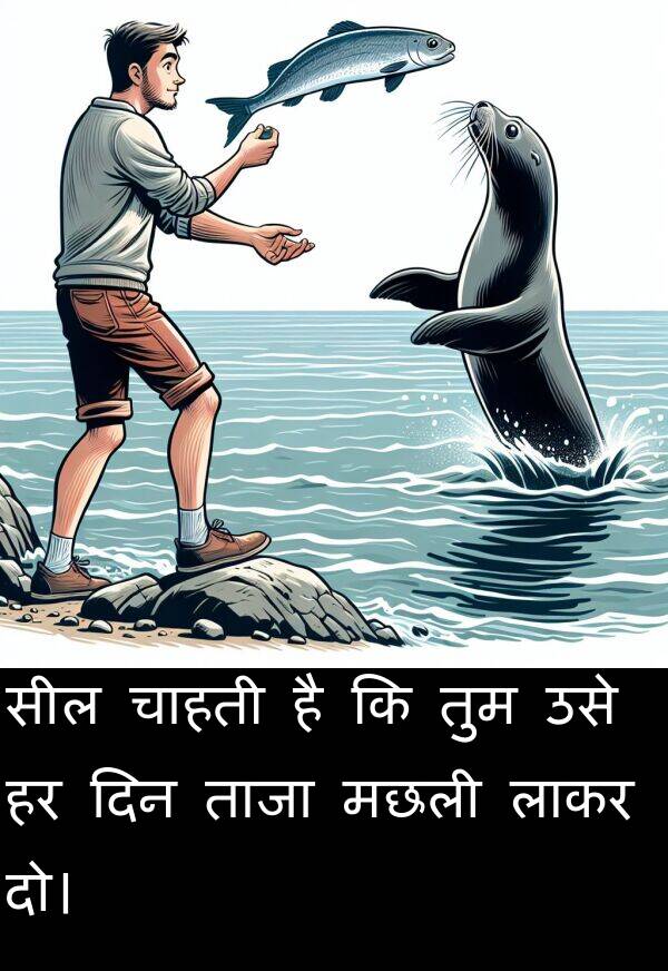 लाकर: सील चाहती है कि तुम उसे हर दिन ताजा मछली लाकर दो।