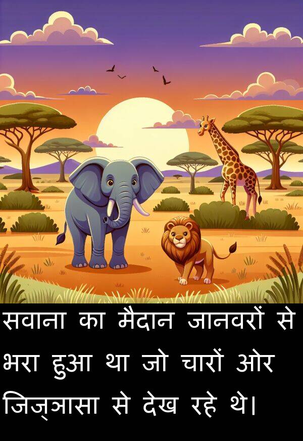 भरा: सवाना का मैदान जानवरों से भरा हुआ था जो चारों ओर जिज्ञासा से देख रहे थे।