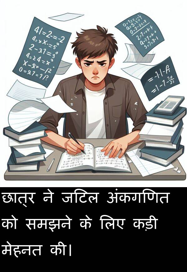 छात्र: छात्र ने जटिल अंकगणित को समझने के लिए कड़ी मेहनत की।