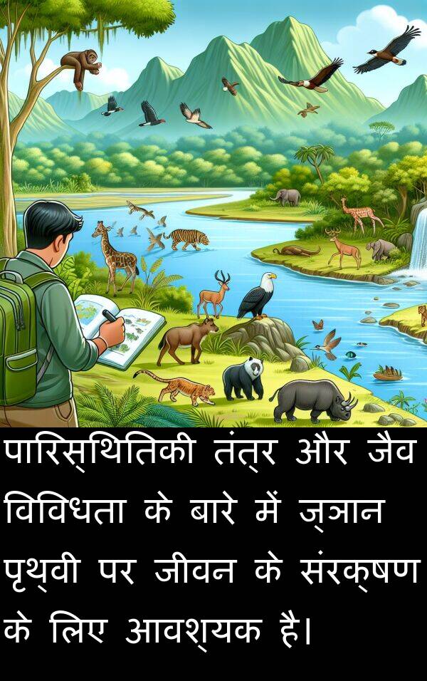 विविधता: पारिस्थितिकी तंत्र और जैव विविधता के बारे में ज्ञान पृथ्वी पर जीवन के संरक्षण के लिए आवश्यक है।
