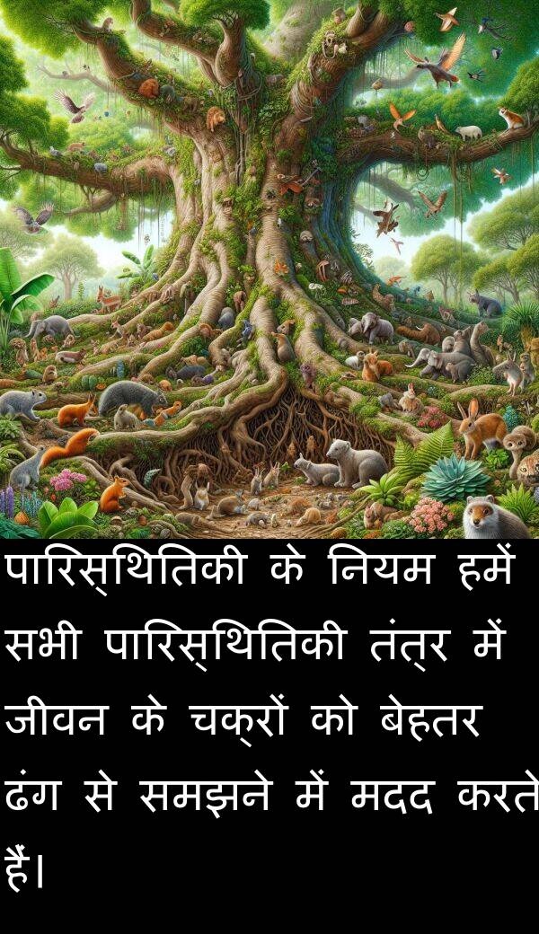 समझने: पारिस्थितिकी के नियम हमें सभी पारिस्थितिकी तंत्र में जीवन के चक्रों को बेहतर ढंग से समझने में मदद करते हैं।