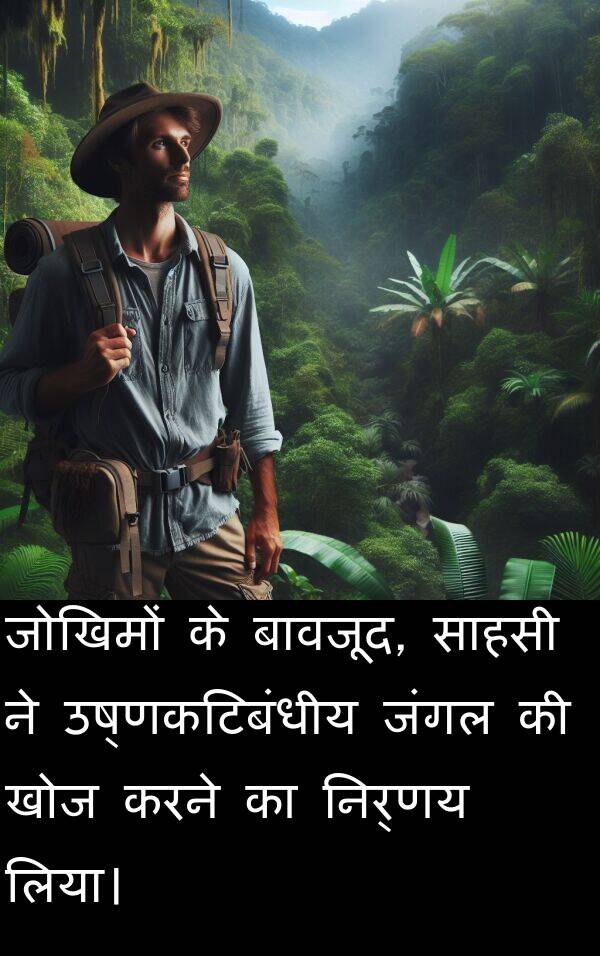 खोज: जोखिमों के बावजूद, साहसी ने उष्णकटिबंधीय जंगल की खोज करने का निर्णय लिया।