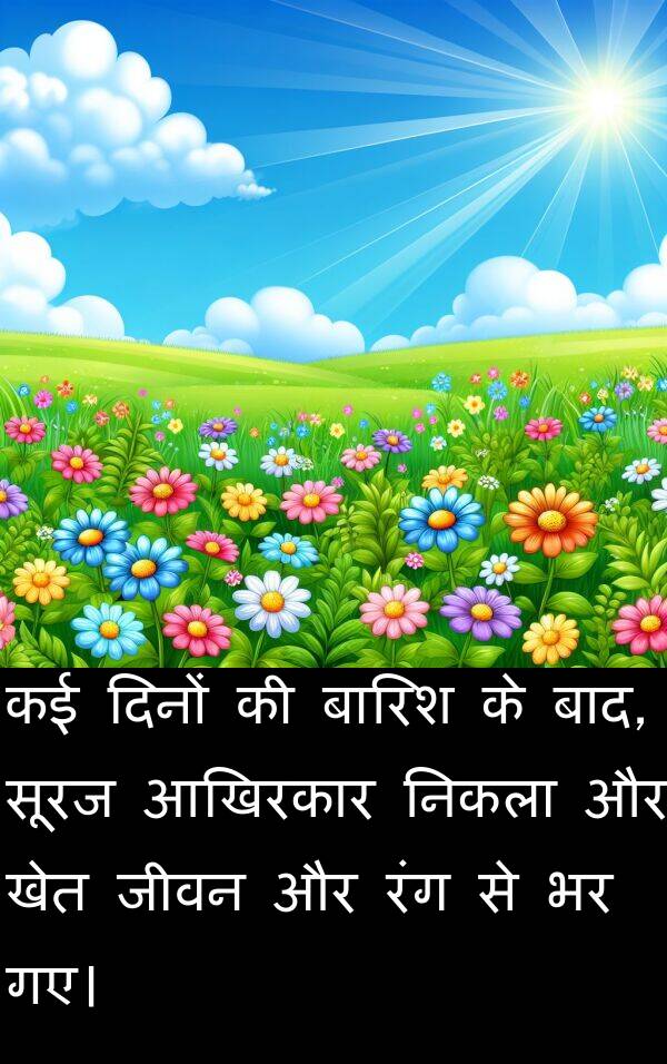 खेत: कई दिनों की बारिश के बाद, सूरज आखिरकार निकला और खेत जीवन और रंग से भर गए।