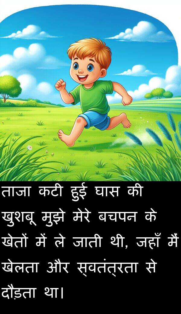 खेतों: ताजा कटी हुई घास की खुशबू मुझे मेरे बचपन के खेतों में ले जाती थी, जहाँ मैं खेलता और स्वतंत्रता से दौड़ता था।