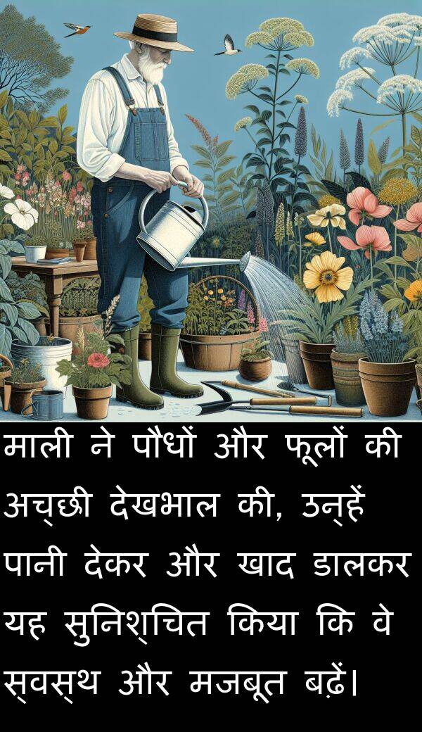 फूलों: माली ने पौधों और फूलों की अच्छी देखभाल की, उन्हें पानी देकर और खाद डालकर यह सुनिश्चित किया कि वे स्वस्थ और मजबूत बढ़ें।