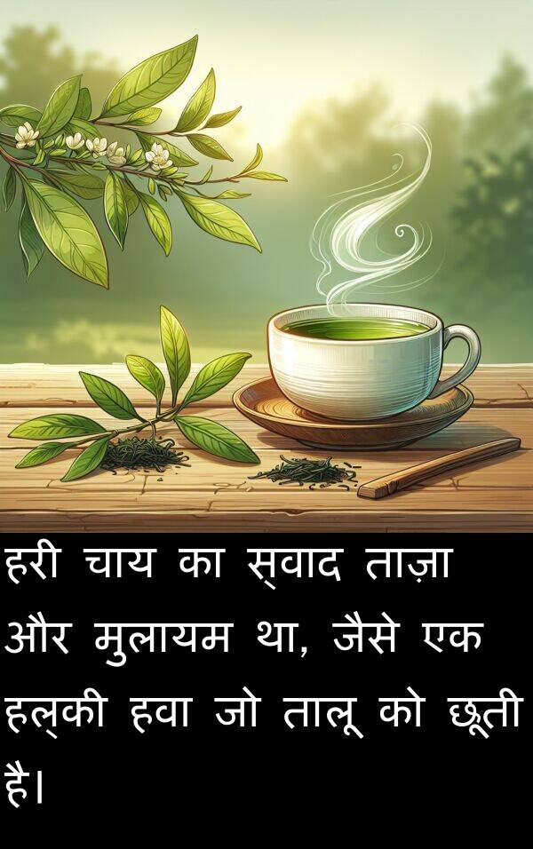 ताज़ा: हरी चाय का स्वाद ताज़ा और मुलायम था, जैसे एक हल्की हवा जो तालू को छूती है।