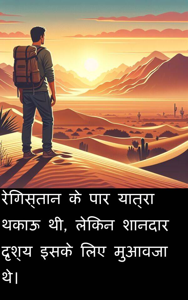थकाऊ: रेगिस्तान के पार यात्रा थकाऊ थी, लेकिन शानदार दृश्य इसके लिए मुआवजा थे।