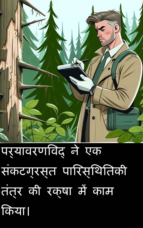 पर्यावरणविद्: पर्यावरणविद् ने एक संकटग्रस्त पारिस्थितिकी तंत्र की रक्षा में काम किया।