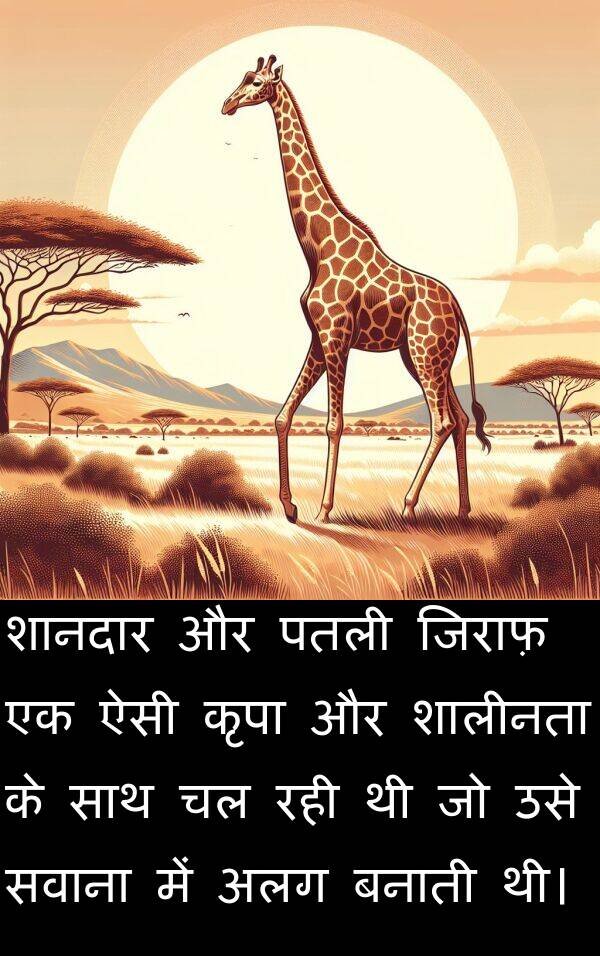 पतली: शानदार और पतली जिराफ़ एक ऐसी कृपा और शालीनता के साथ चल रही थी जो उसे सवाना में अलग बनाती थी।
