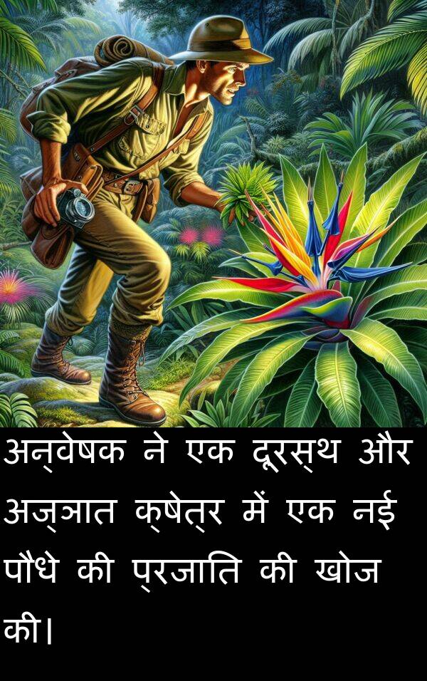 खोज: अन्वेषक ने एक दूरस्थ और अज्ञात क्षेत्र में एक नई पौधे की प्रजाति की खोज की।