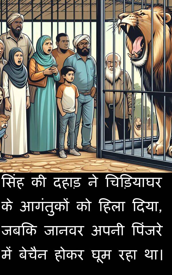 पिंजरे: सिंह की दहाड़ ने चिड़ियाघर के आगंतुकों को हिला दिया, जबकि जानवर अपनी पिंजरे में बेचैन होकर घूम रहा था।
