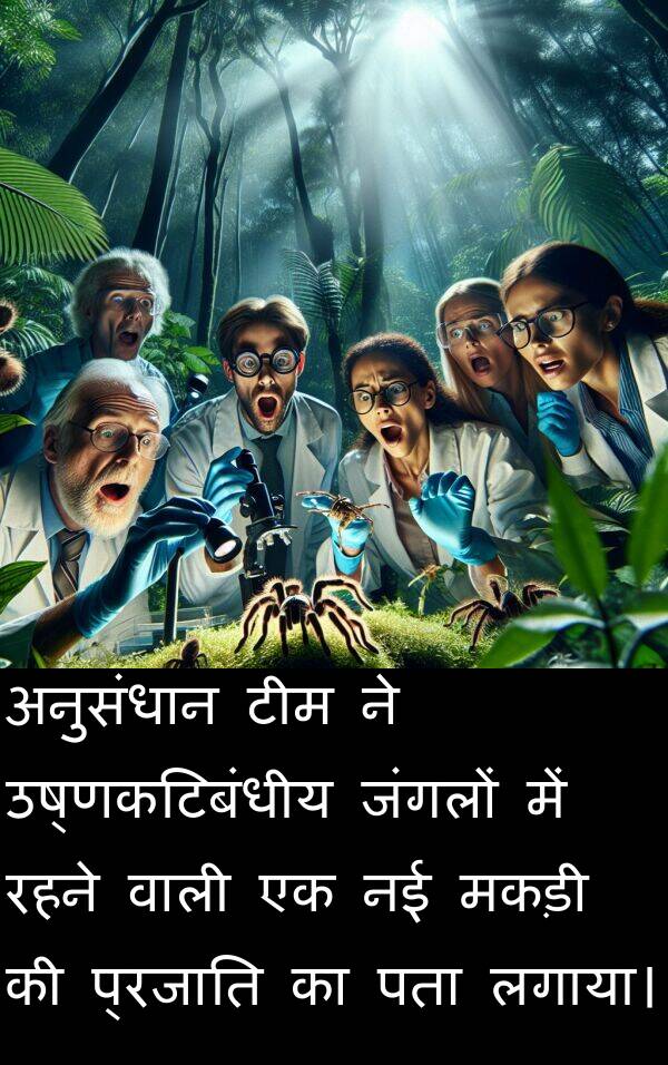 लगाया।: अनुसंधान टीम ने उष्णकटिबंधीय जंगलों में रहने वाली एक नई मकड़ी की प्रजाति का पता लगाया।