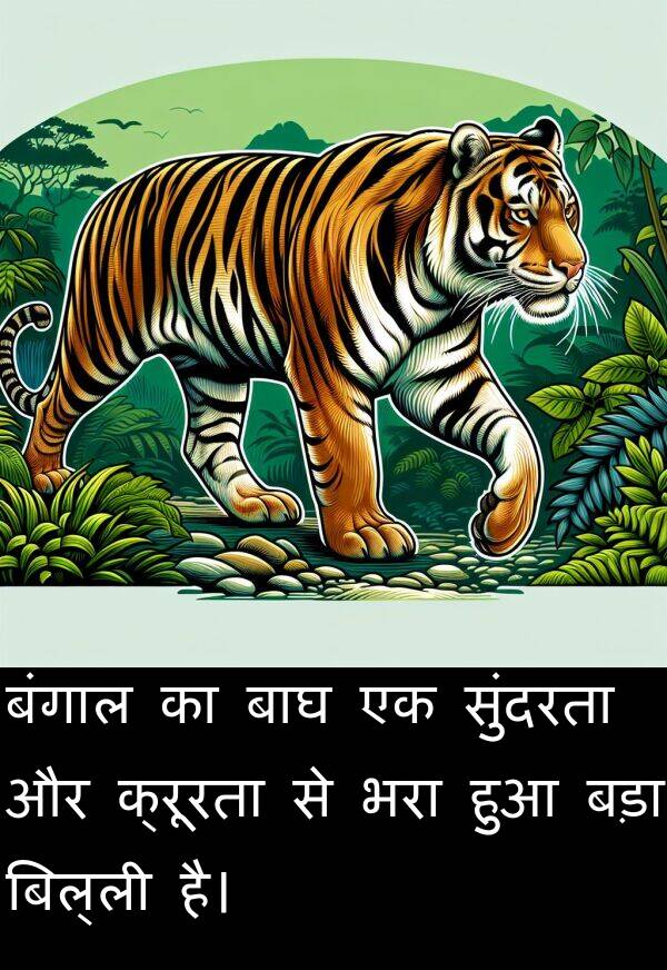 भरा: बंगाल का बाघ एक सुंदरता और क्रूरता से भरा हुआ बड़ा बिल्ली है।