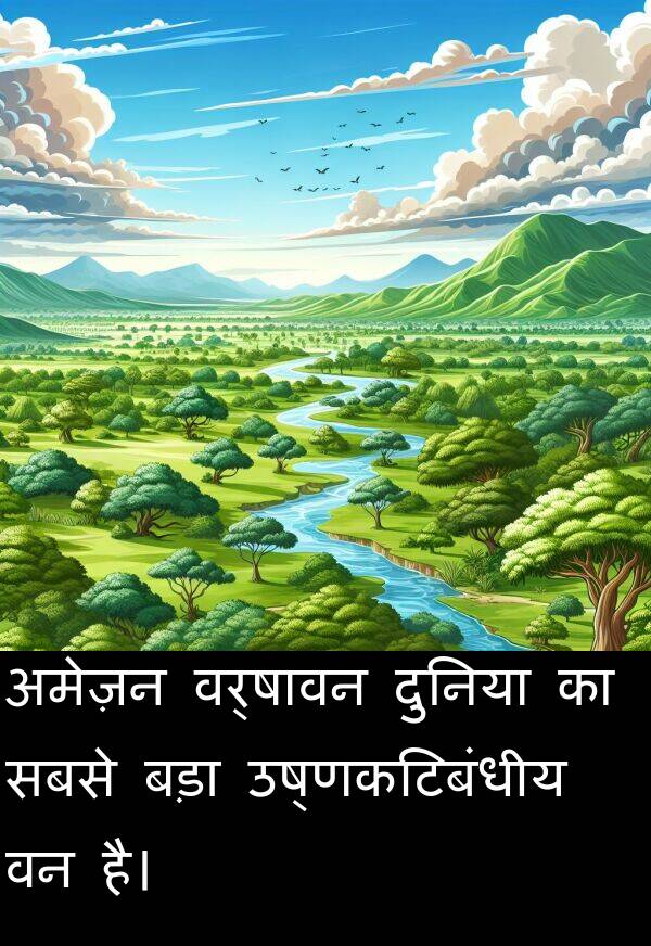 उष्णकटिबंधीय: अमेज़न वर्षावन दुनिया का सबसे बड़ा उष्णकटिबंधीय वन है।