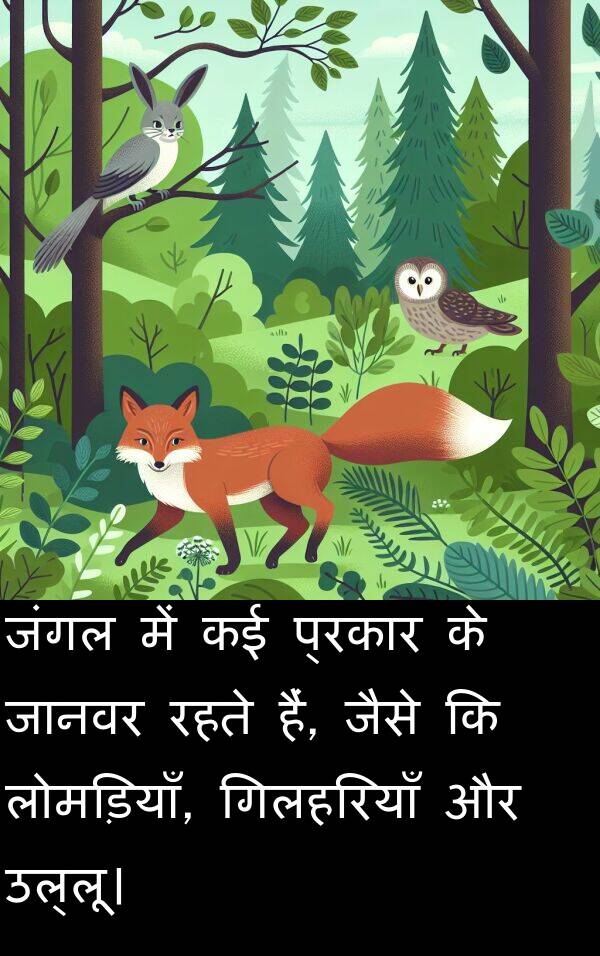 प्रकार: जंगल में कई प्रकार के जानवर रहते हैं, जैसे कि लोमड़ियाँ, गिलहरियाँ और उल्लू।