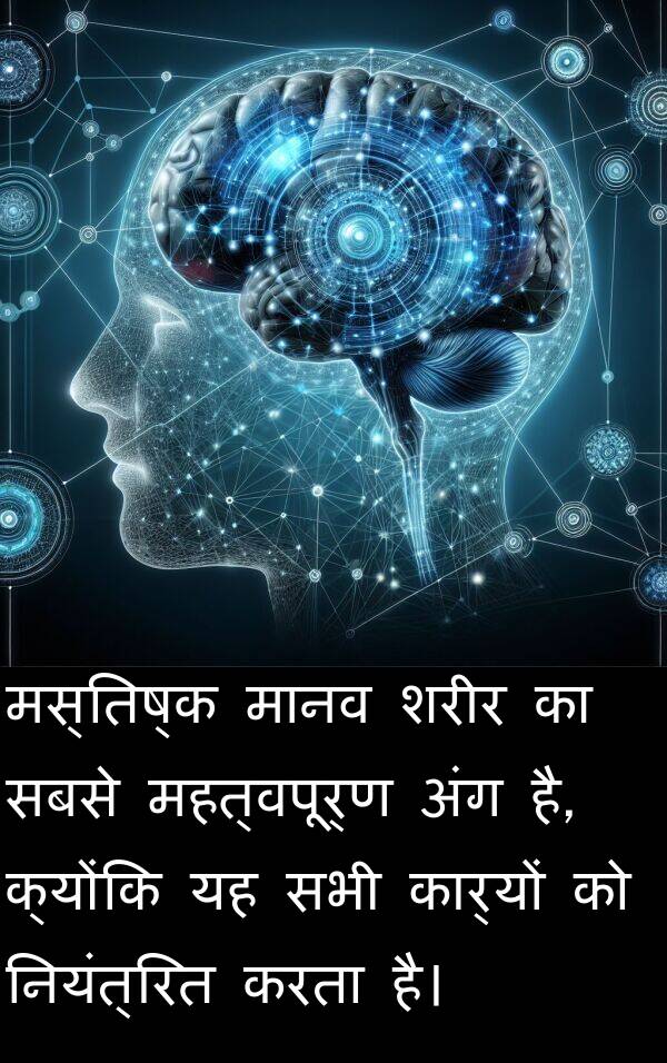 अंग: मस्तिष्क मानव शरीर का सबसे महत्वपूर्ण अंग है, क्योंकि यह सभी कार्यों को नियंत्रित करता है।