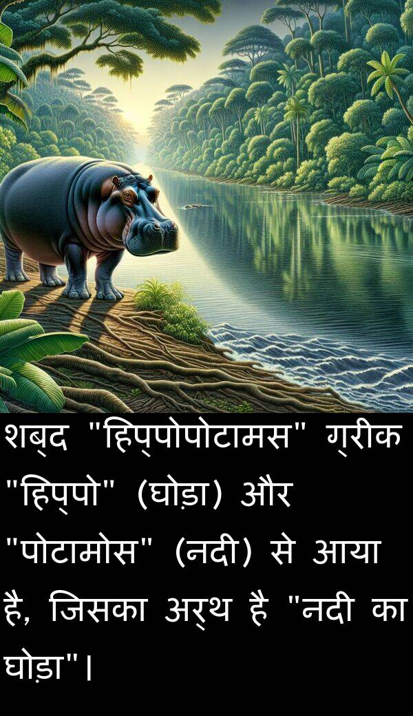 अर्थ: शब्द "हिप्पोपोटामस" ग्रीक "हिप्पो" (घोड़ा) और "पोटामोस" (नदी) से आया है, जिसका अर्थ है "नदी का घोड़ा"।