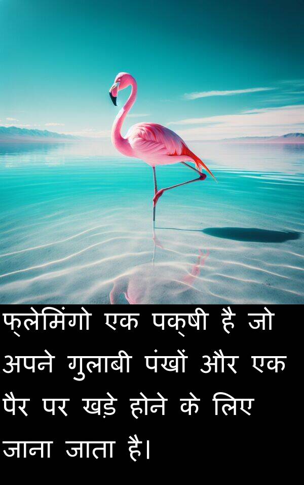 खड़े: फ्लेमिंगो एक पक्षी है जो अपने गुलाबी पंखों और एक पैर पर खड़े होने के लिए जाना जाता है।