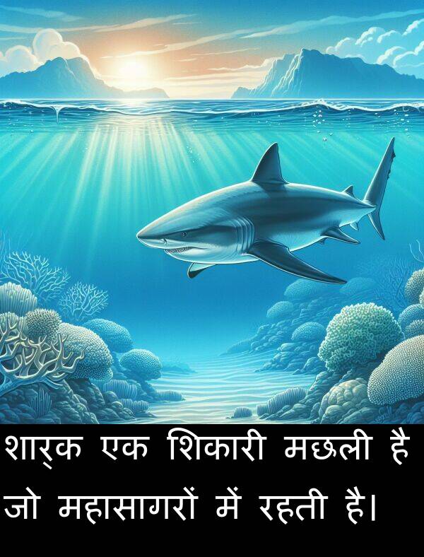 मछली: शार्क एक शिकारी मछली है जो महासागरों में रहती है।