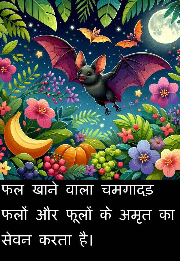 फूलों: फल खाने वाला चमगादड़ फलों और फूलों के अमृत का सेवन करता है।