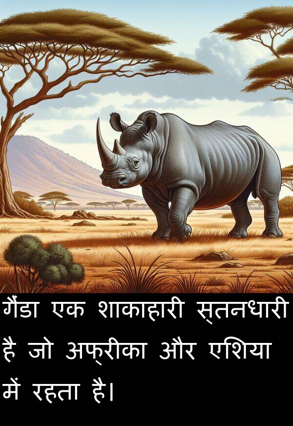 अफ्रीका: गैंडा एक शाकाहारी स्तनधारी है जो अफ्रीका और एशिया में रहता है।