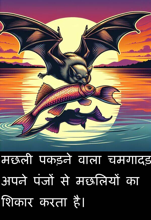 पंजों: मछली पकड़ने वाला चमगादड़ अपने पंजों से मछलियों का शिकार करता है।