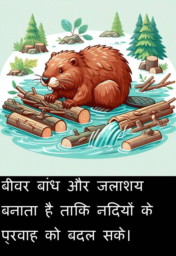 बदल: बीवर बांध और जलाशय बनाता है ताकि नदियों के प्रवाह को बदल सके।