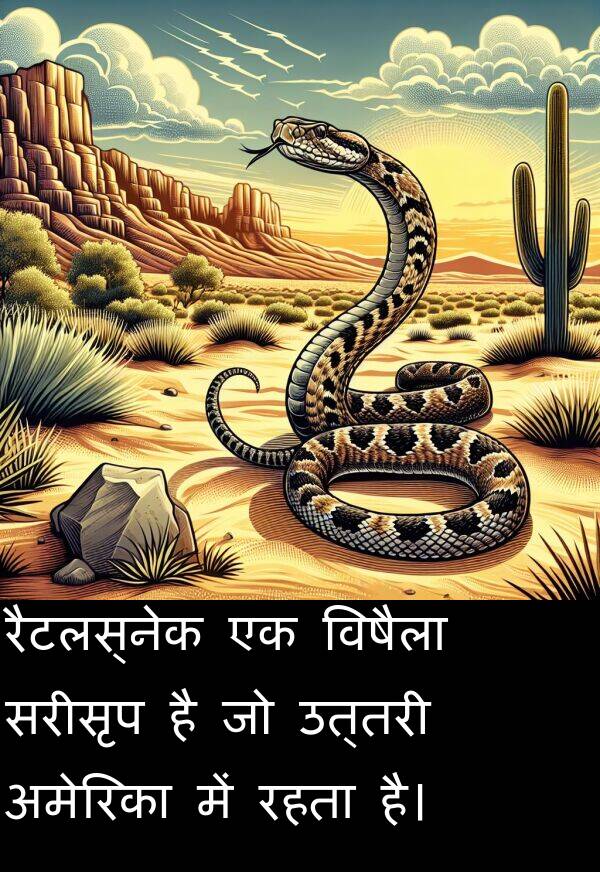 उत्तरी: रैटलस्नेक एक विषैला सरीसृप है जो उत्तरी अमेरिका में रहता है।