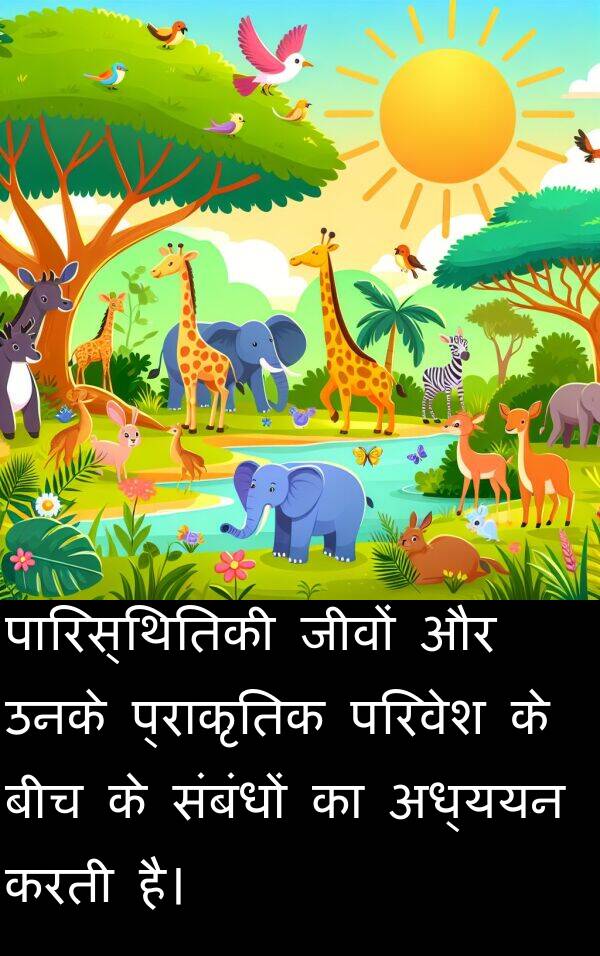 परिवेश: पारिस्थितिकी जीवों और उनके प्राकृतिक परिवेश के बीच के संबंधों का अध्ययन करती है।