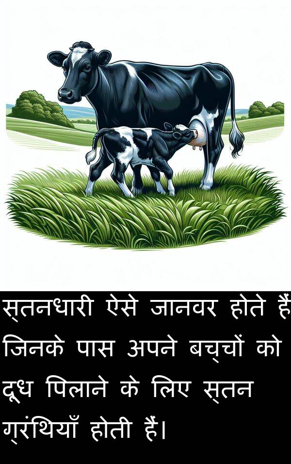 बच्चों: स्तनधारी ऐसे जानवर होते हैं जिनके पास अपने बच्चों को दूध पिलाने के लिए स्तन ग्रंथियाँ होती हैं।